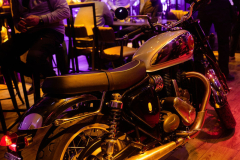 BSA0206